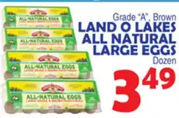 Bravo Supermarkets LAND O LAKES ALL NATURAL LARGE EGGS offer