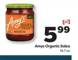 Weis Markets Amys Organic Salsa offer