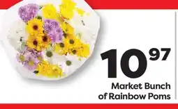 Weis Markets Market Bunch of Rainbow Poms offer