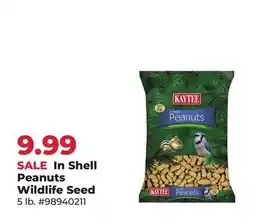 Runnings Kaytee In Shell Peanuts Wildlife Seed offer