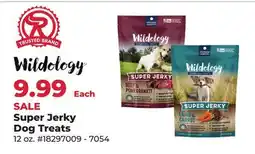 Runnings Super Jerky Dog Treats offer