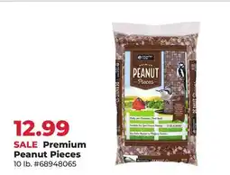Runnings Premium Peanut Pieces offer