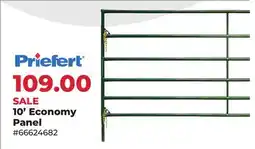 Runnings 10' Economy Panel offer