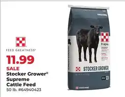 Runnings Stocker Grower Supreme Cattle Feed offer
