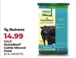 Runnings NutreBeef Cattle Mineral Feed offer