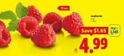 Lidl Raspberries offer