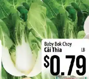 Baby Bok Choy