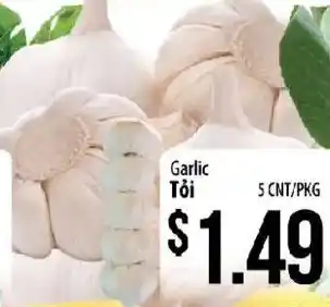 Garlic