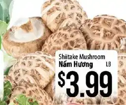 Hmart Shiitake Mushroom offer