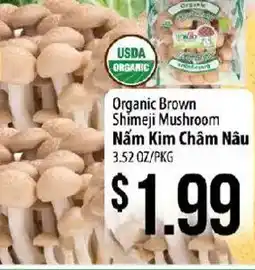 Hmart Organic Brown Shimeji Mushroom offer