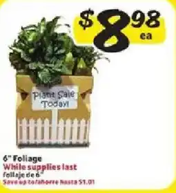 Fresco y Más 6" Foliage offer