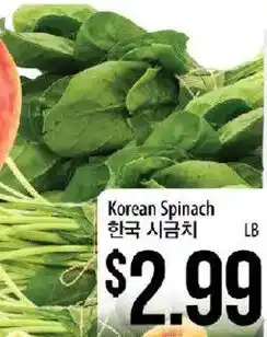 Korean Spinach