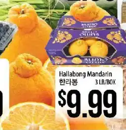 Hmart Hallabong Mandarin offer