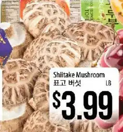 Hmart Shiitake Mushroom offer