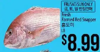Fresh Farmed Red Snapper