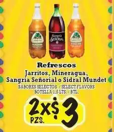 La Michoacana Jarritos, Mineragua. Sangria Señorial o Sidral Mundet offer