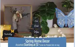 Dollar General Spring Home Decor offer