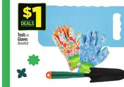 Dollar General Tools or Gloves offer