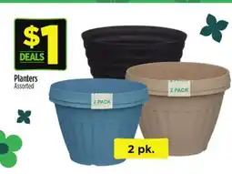 Dollar General Planters offer