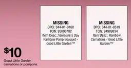 Target Good Little Garden carnations or pompons offer