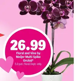Meijer Floral and Vine by Meijer Multi Spike Orchid offer