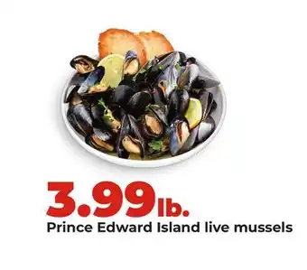Hy-Vee Prince Edward Island live mussels offer