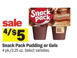 Meijer Snack Pack Pudding or Gels offer