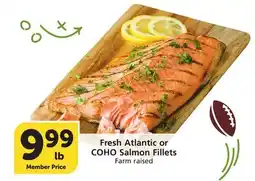 Vons Fresh Atlantic or COHO Salmon Fillets offer