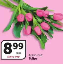 Vons Fresh Cut Tulips offer