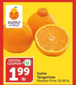 Vons Sumo Tangerines offer