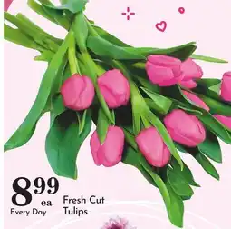 Pavilions Fresh Cut Tulips offer
