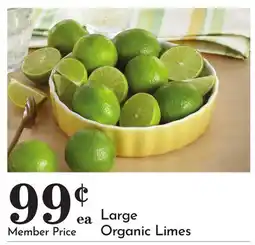 Pavilions Large Organic Limes offer
