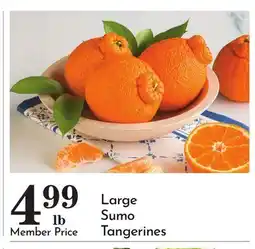 Pavilions Large Sumo Tangerines offer