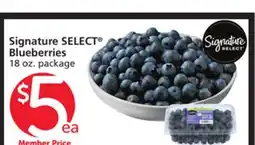 Albertsons Signature SELECT Blueberries offer