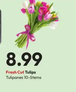 Stater Bros Fresh Cut Tulips offer