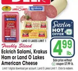 Jewel-Osco Eckrich Salami, Krakus Ham or Land O Lakes American Cheese offer