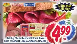 Jewel-Osco Freshly Sliced Eckrich Salami, Krakus Ham or Land O Lakes American Cheese offer