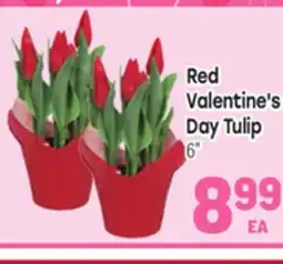 Tony’s Fresh Market Red Valentine's Day Tulip offer