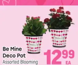 Tony’s Fresh Market Be Mine Deco Pot offer