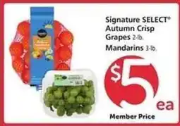 Safeway Signature SELECT Autumn Crisp Grapes & Mandarins offer