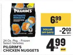 Food Lion Pilgrim's Chicken Nuggets offer