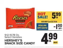 Food Lion Hershey's Snack Size Candy offer