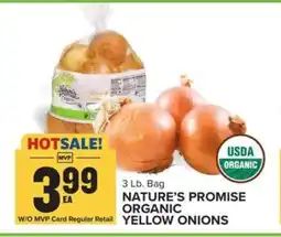 Food Lion Nature's Promise Organic Yellow Onions offer
