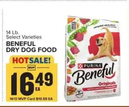 Food Lion Beneful Dry Dog Food offer