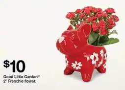 Target Good Little Garden 2" Frenchie flower offer
