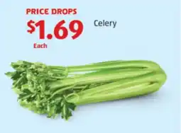 Aldi Celery offer
