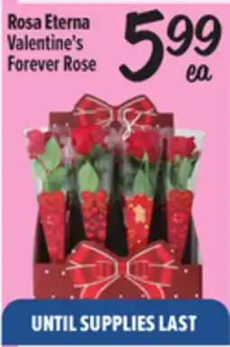 El Super Valentine's Forever Rose offer