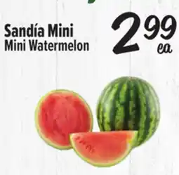 El Super Mini Watermelon offer