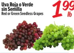 El Super Red or Green Seedless Grapes offer