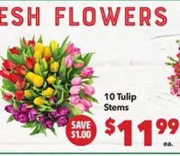 Vallarta Supermarkets 10 Tulip Stems offer